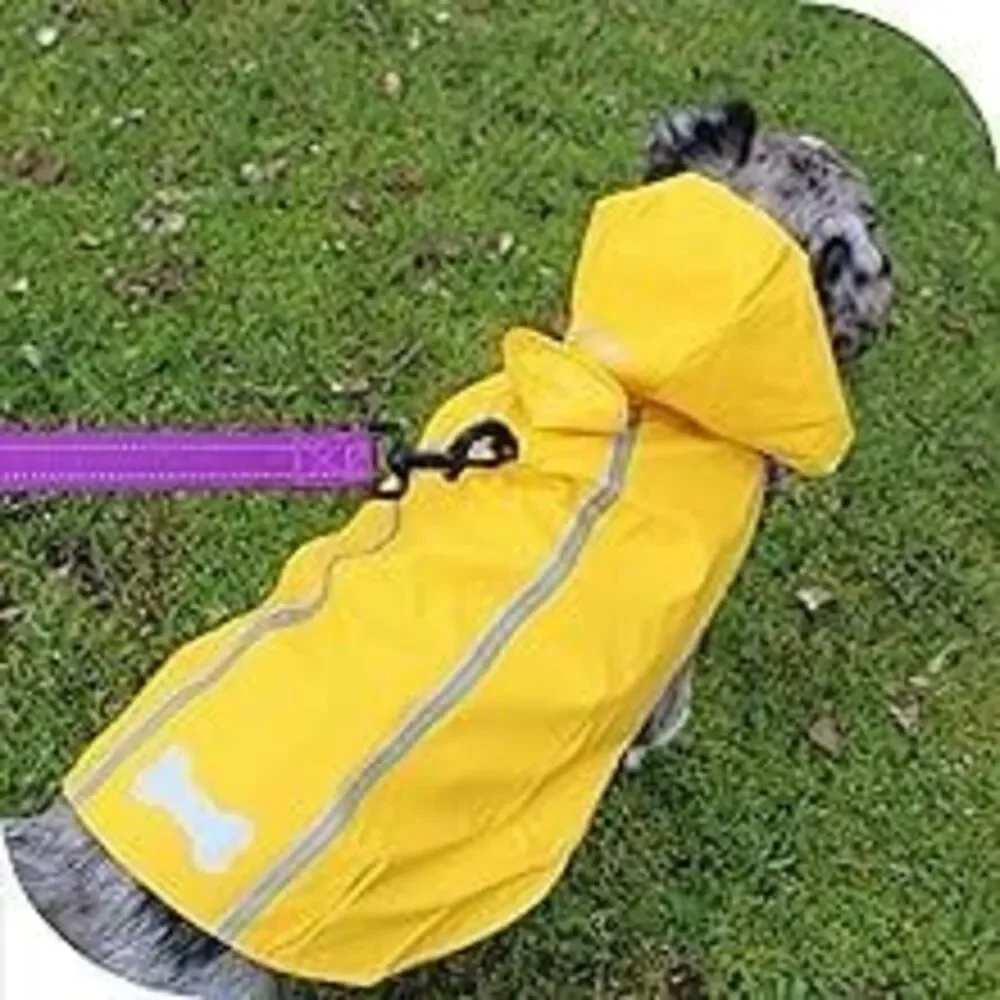 Voyager Waterproof Dogs Raincoat/Rain Poncho by Best Pet Supplies - RED, Medium